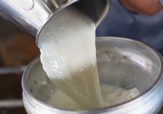 CPLA comemora Dia Mundial do Leite