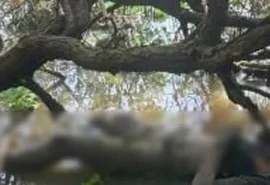 Corpos de irmãos que estavam desaparecidos são encontrados no Pontal da Barra, em Maceió