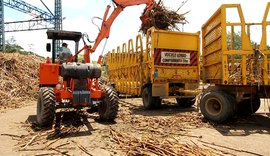 Alagoas beneficiou 15,9 mi de toneladas de cana até fevereiro