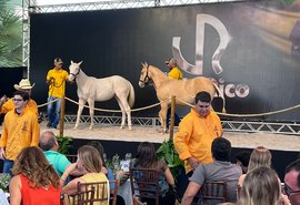 Vale Rico fatura R$7,6 milhões e movimenta mercado do QM