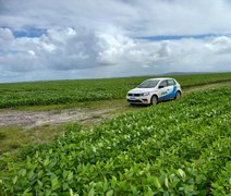 Calendário de semeadura da soja é aberto em Alagoas