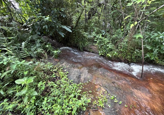 Rota do Cacau fortalece ecoturismo em Matriz de Camaragibe