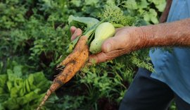 Sancionada lei que fortalece financiamento para agricultura familiar