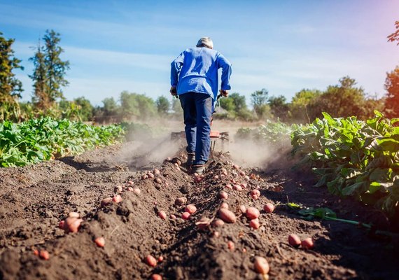 Qual será o emprego mais valorizado no Agro em 2023?