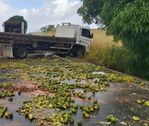 Caminhão carregado de laranjas capota na Rodovia AL-220, na Barra de São Miguel
