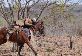 Parque da Pecuária reúne profissionais da roça no 2° Encontro de Vaqueiros e Gerentes de Fazendas