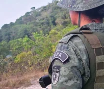 Polícia Militar apreende 60 aves silvestres em feiras de Maceió e Rio Largo