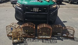 PM-AL apreende animais silvestres e armas em operação no Litoral Norte