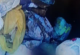 Corpo de recém-nascido é encontrado em caminhão de lixo em Coruripe