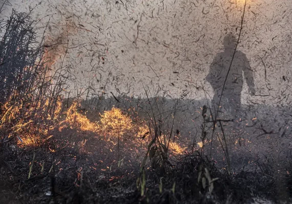 Focos de incêndios no Brasil já são 76% maiores que em 2023