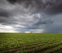 Desafios econômicos do El Niño: agricultores sob pressão