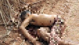 Corpo é encontrado com marcas de tiros em canavial no interior de Alagoas