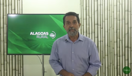 Assista ao Alagoas Rural na íntegra - 25 de janeiro de 2026