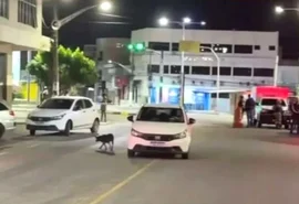 'Tinha um futuro brilhante', diz delegado sobre policial morto por colega em Delmiro Gouveia