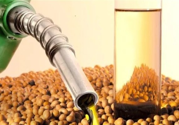 Produção de etanol de milho dispara e deve superar 25% do total em 2025, diz Unem