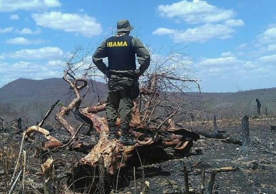 Políticos alagoanos somam mais de R$ 1,7 milhão em multas ao Ibama