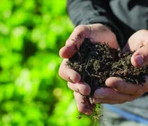 Cooperativismo agropecuário amplia ações para monitorar emissões de carbono