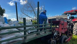 Pindorama se prepara para a colheita de arroz de sequeiro em Igreja Nova