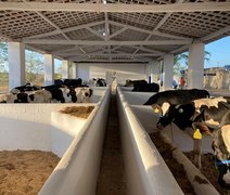 Programação da 39ª Expo Bacia traz tecnologia e inovação para produção leiteira
