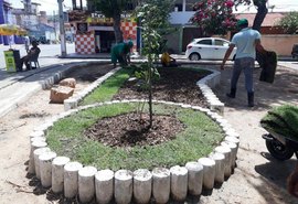 Projeto vai plantar 100 mudas da Mata Atlântica pela capital alagoana