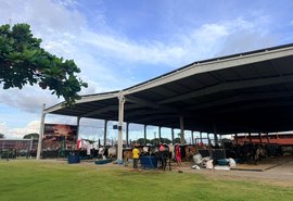Expoalagoas Genética amplia ambientes de negócios para criadores e empresas