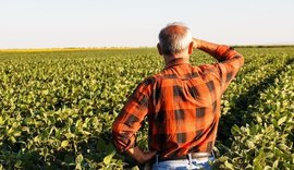 Julgamentos do Proagro ficam mais ágeis