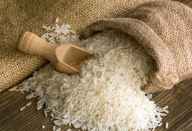 Indicador do arroz segue em queda