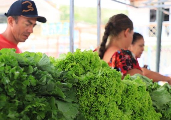Feiras da agricultura familiar e de plantas ornamentais movimentam Viçosa
