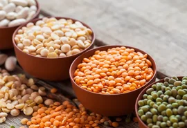 Safra 21/22: mesmo com quebra, safra de grãos será maior