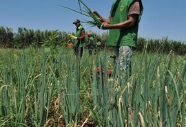 Próximo pacote do governo de AL será para o agro