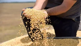 Tarifa dos EUA pode atingir 36,5% das exportações do agro brasileiro