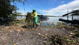 Alurb inicia retirada de baronesas da Lagoa Mundaú