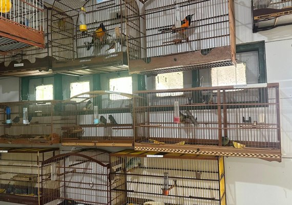 Cetas recebe 42 aves apreendidas em condições de maus-tratos no aeroporto