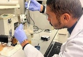 Pesquisa da Ufal rende cinco patentes para agricultura e saúde