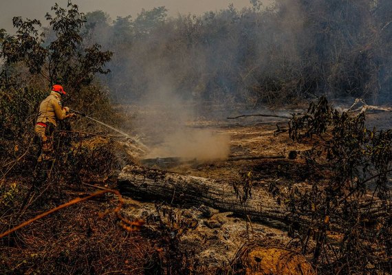 Governo autoriza envio da Força Nacional para combater incêndios