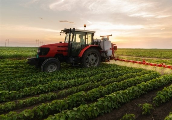 Dia do Agronegócio: setor avança, mas enfrenta desafios com preços e clima