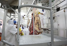 FrigoVale moderniza abate de carne em Alagoas
