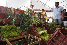 Decreto adia para 2027 exigência de CNPJ para autônomos e produtores rurais