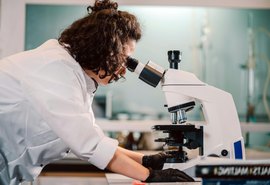 Alagoas lidera no país em proporção de alunos com bolsas de mestrado e doutorado