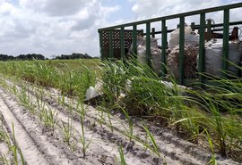 Levantamento indica variação negativa de 8,5% entre ciclos