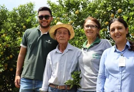 Cooperativa agropecuária lança campanha de combate ao greening