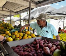 Circuito Regional de Feiras da Agricultura Familiar ganha novo formato em 2026