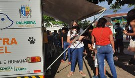 Domingo Pet realiza 264 procedimentos em cães e gatos de Palmeira