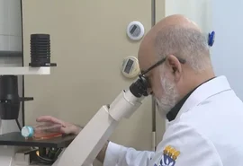 Análises apontam aumento de casos de norovírus em Salvador