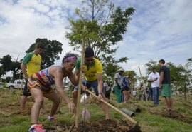 MMA lança programa para impulsionar renda de quem protege as florestas