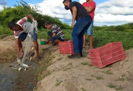 Piscicultores recebem apoio técnico para acompanhar criação de Tilápias em Delmiro