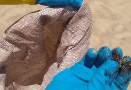 Fragmentos de óleo voltam a atingir praias de Alagoas e Pernambuco