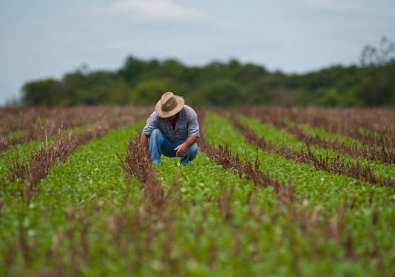 Produtores rurais irão receber Fundos Constitucionais este ano