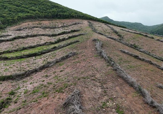 PF prende homem apontado como maior devastador da Caatinga em Alagoas