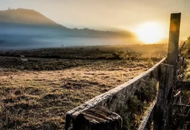 Cidades do Sul registram temperaturas negativas neste domingo